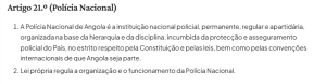Artigo 21.º (Polícia Nacional) (Lei n.º 15/24)
